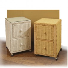 Chasco File Cabinet with 2 Drawers on Casters